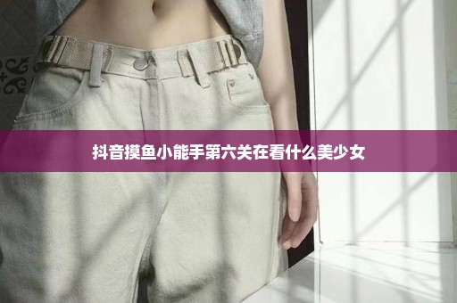 抖音摸鱼小能手第六关在看什么美少女