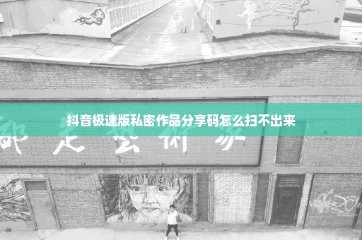 抖音极速版私密作品分享码怎么扫不出来