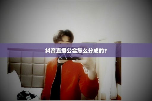 抖音直播公会怎么分成的？