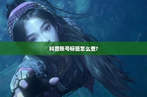 抖音账号标签怎么查?