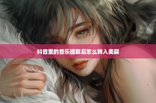 抖音里的音乐提取后怎么转入美篇