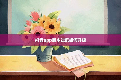 抖音app版本过低如何升级