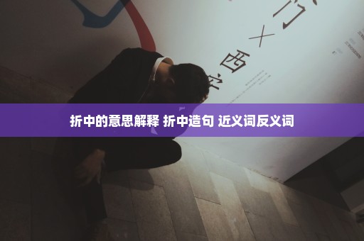 折中的意思解释 折中造句 近义词反义词