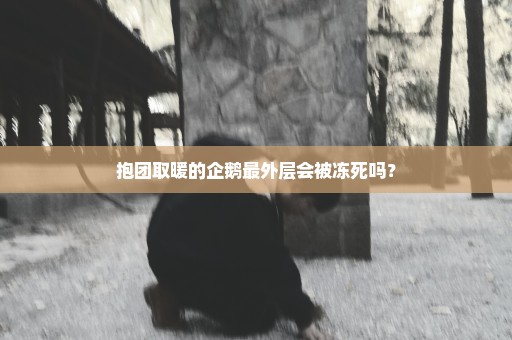 抱团取暖的企鹅最外层会被冻死吗？