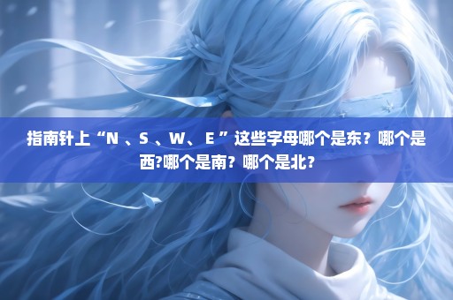 指南针上“N 、S 、W、 E ”这些字母哪个是东？哪个是西?哪个是南？哪个是北？