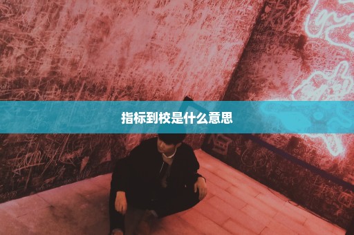 指标到校是什么意思