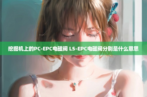 挖掘机上的PC-EPC电磁阀 LS-EPC电磁阀分别是什么意思