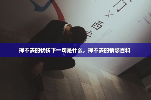 挥不去的忧伤下一句是什么，挥不去的情愁百科 