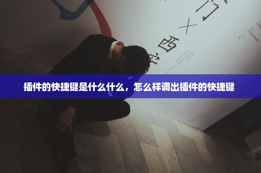 插件的快捷键是什么什么，怎么样调出插件的快捷键 