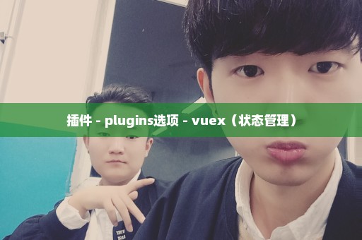 插件 - plugins选项 - vuex（状态管理）