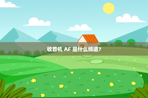 收音机 AF 是什么频道？