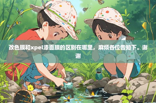 改色膜和xpel漆面膜的区别在哪里，麻烦各位告知下。谢谢