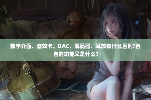 数字介面、音效卡、DAC、解码器、耳放有什么区别?各自的功能又是什么？