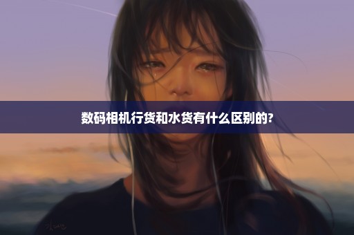 数码相机行货和水货有什么区别的?