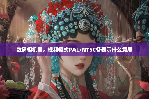 数码相机里，视频模式PAL/NTSC各表示什么意思