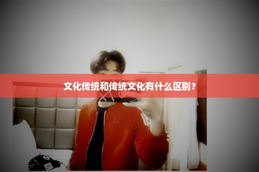 文化传统和传统文化有什么区别？