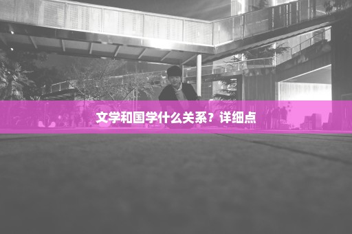 文学和国学什么关系？详细点