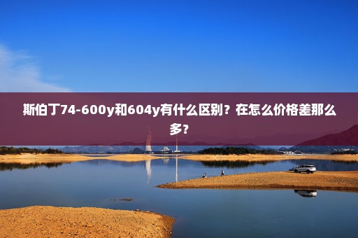 斯伯丁74-600y和604y有什么区别？在怎么价格差那么多？