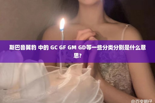 斯巴鲁翼豹 中的 GC GF GM GD等一些分类分别是什么意思?