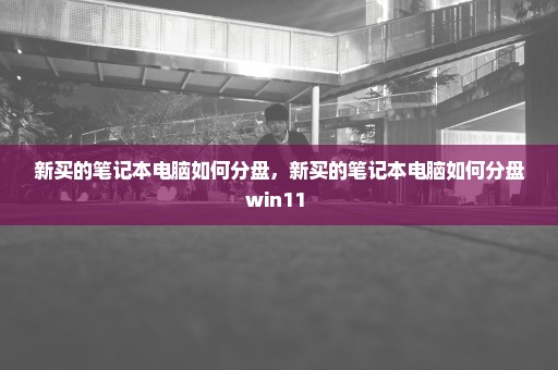 新买的笔记本电脑如何分盘，新买的笔记本电脑如何分盘win11 