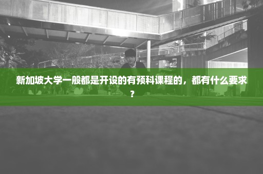 新加坡大学一般都是开设的有预科课程的，都有什么要求？