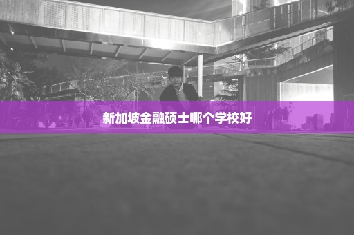 新加坡金融硕士哪个学校好