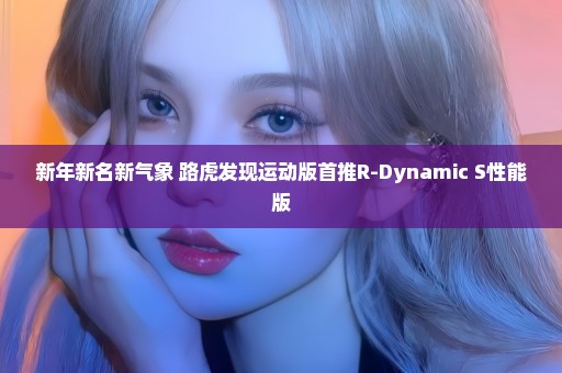 新年新名新气象 路虎发现运动版首推R-Dynamic S性能版