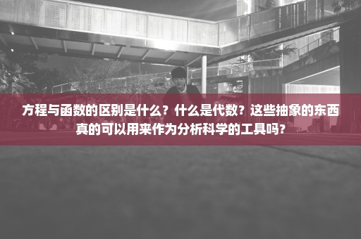 方程与函数的区别是什么？什么是代数？这些抽象的东西真的可以用来作为分析科学的工具吗？