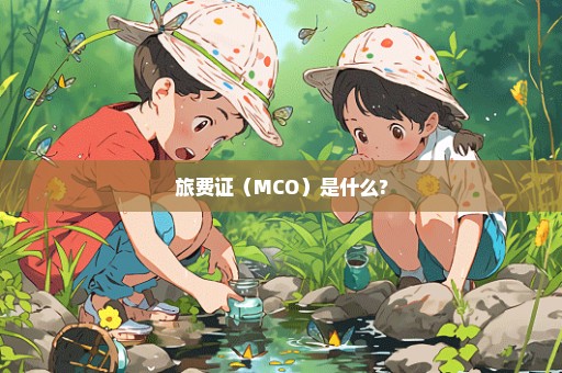 旅费证（MCO）是什么?