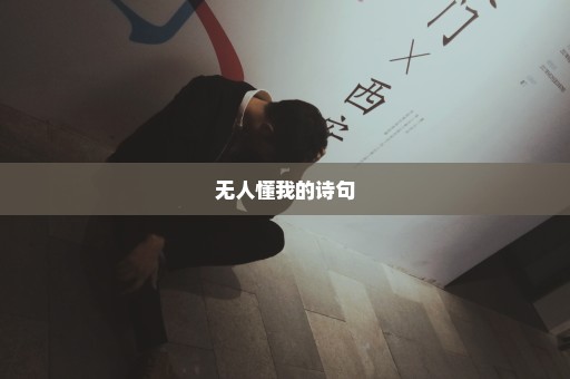 无人懂我的诗句