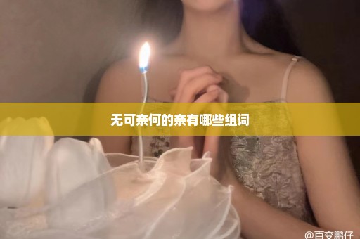 无可奈何的奈有哪些组词