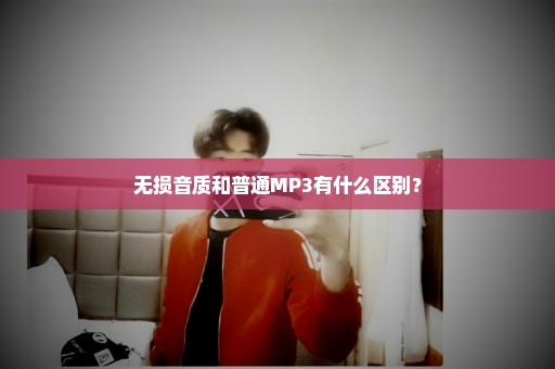 无损音质和普通MP3有什么区别？