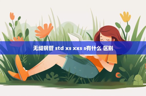 无缝钢管 std xs xxs s有什么 区别