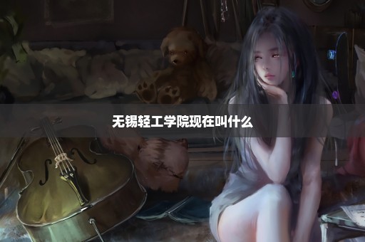 无锡轻工学院现在叫什么