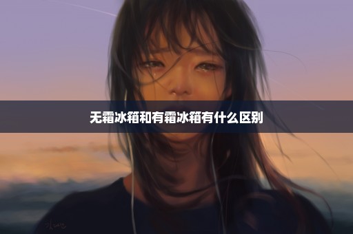 无霜冰箱和有霜冰箱有什么区别