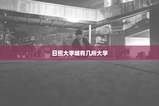 日照大学城有几所大学