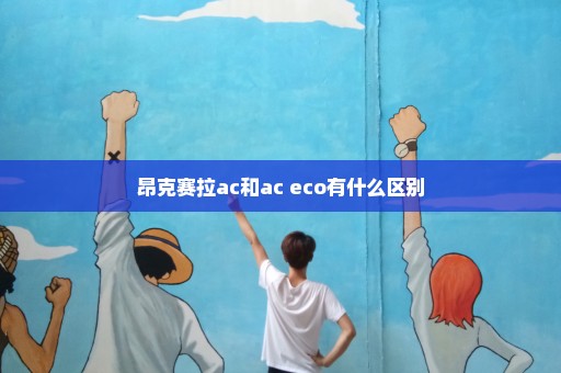 昂克赛拉ac和ac eco有什么区别