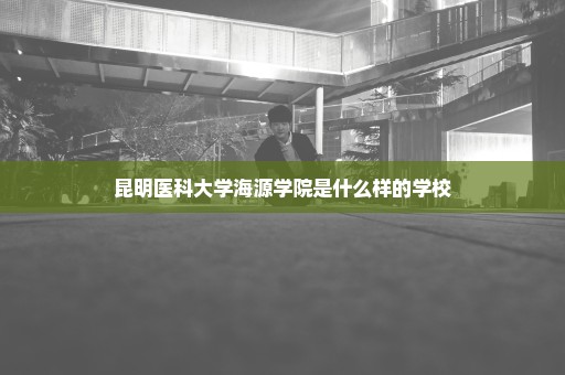 昆明医科大学海源学院是什么样的学校