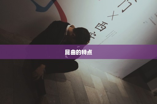 昆曲的特点