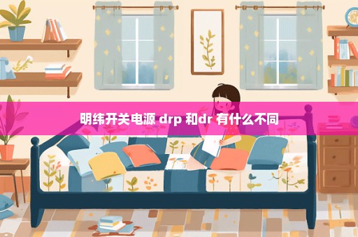 明纬开关电源 drp 和dr 有什么不同