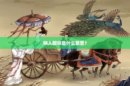 映入眼帘是什么意思？