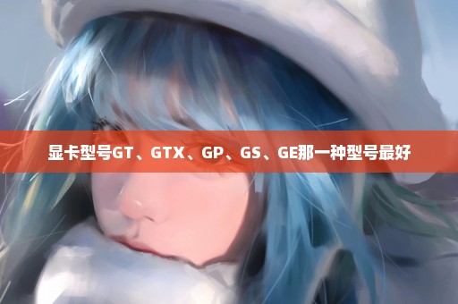 显卡型号GT、GTX、GP、GS、GE那一种型号最好