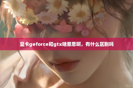 显卡geforce和gtx啥意思啊，有什么区别吗