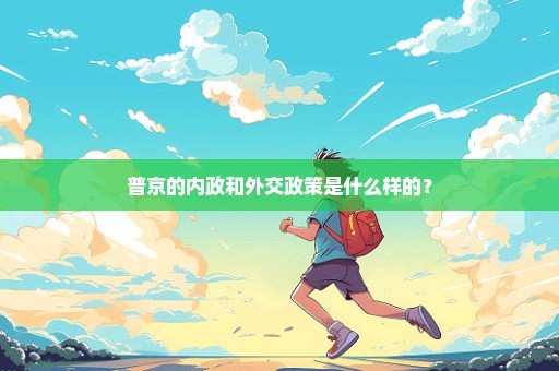 普京的内政和外交政策是什么样的？