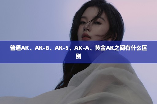 普通AK、AK-B、AK-S、AK-A、黄金AK之间有什么区别