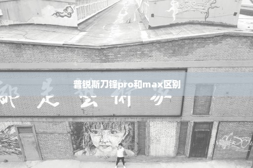 普锐斯刀锋pro和max区别