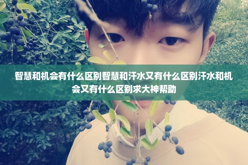 智慧和机会有什么区别智慧和汗水又有什么区别汗水和机会又有什么区别求大神帮助