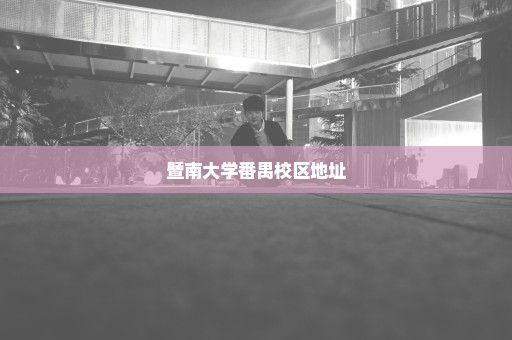 暨南大学番禺校区地址