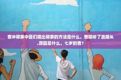 曹冲称象中臣们提出称象的方法是什么。曹操听了直摇头,原因是什么。七岁的曹？