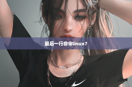 最后一行命令linux？